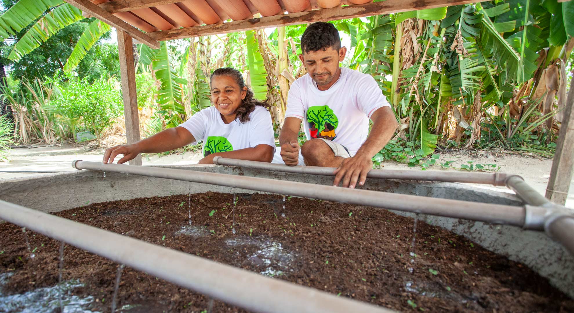 Saneamento Ecológico Rural 